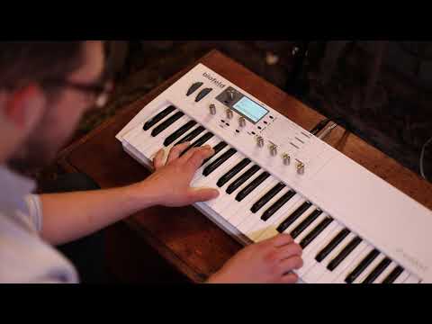Waldorf Blofeld Keyboard - Black video