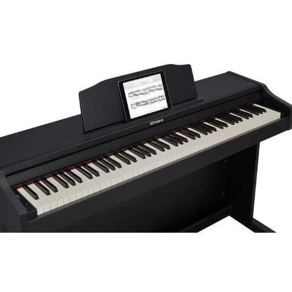 Roland RP102