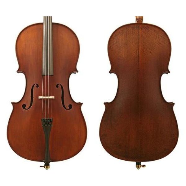 Enrico Student Plus II 1-2 Cello Outfit