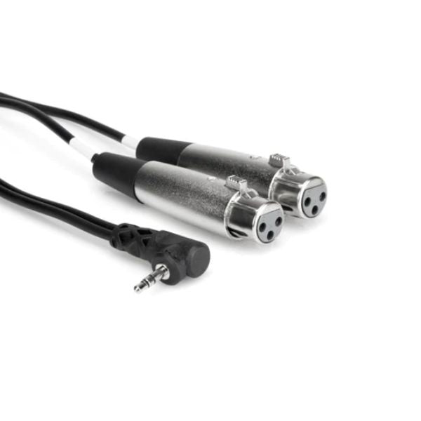 Hosa CYX402F - 3.5mm to Dual XLR-F 2ft