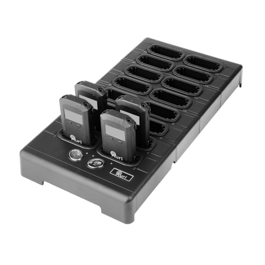 Auri D16 Docking Station
