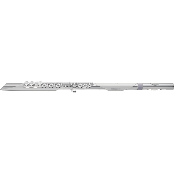 Roland Aerophone Brisa