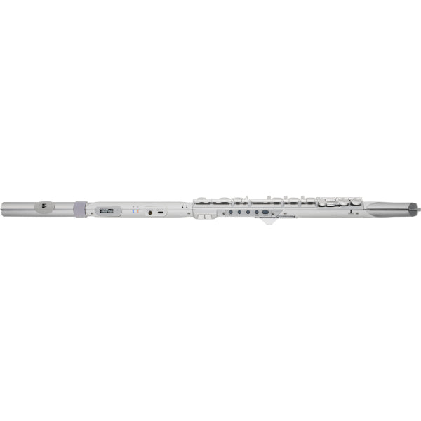 Roland Aerophone Brisa