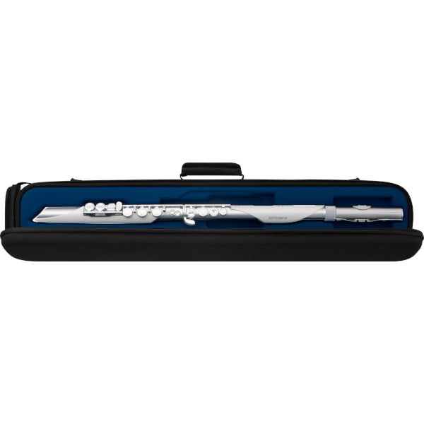 Roland Aerophone Brisa