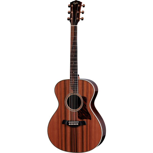 Taylor BT2 Baby Mahogany | Turramurra Music