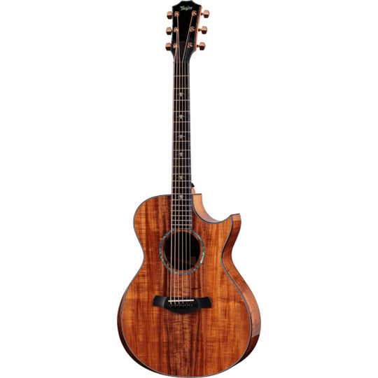 Taylor Custom C22ce B6041