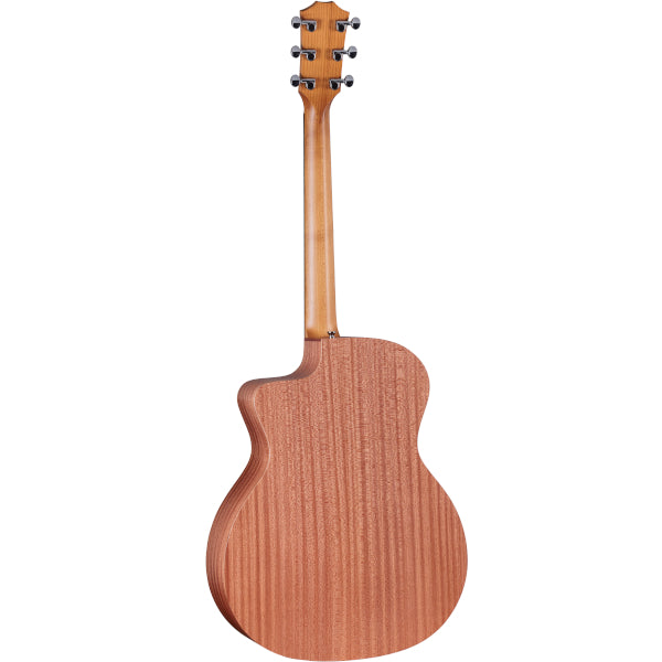 Taylor 14ce rear