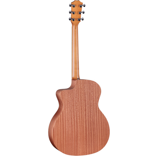Taylor 24ce rear