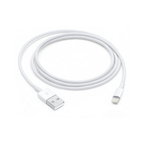 Apple Lightning to USB Cable - 1M
