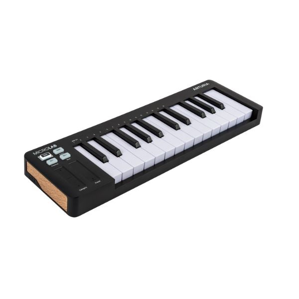 Arturia Micro Lab Mk3 (Black) - Offset 2