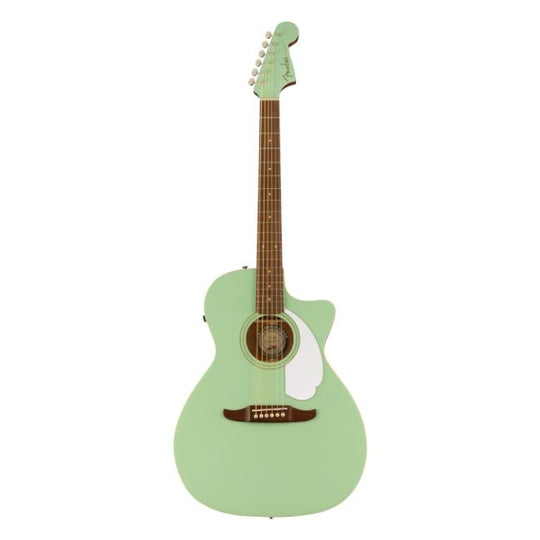 Fender Newporter Player