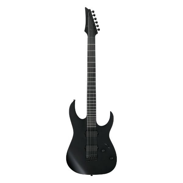 Ibanez RGRTBB21-BKF Iron Label Baritone - Black Flat