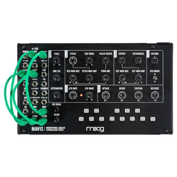 Moog Mavis top down