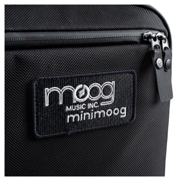Moog Model D SR Case (Close Up)