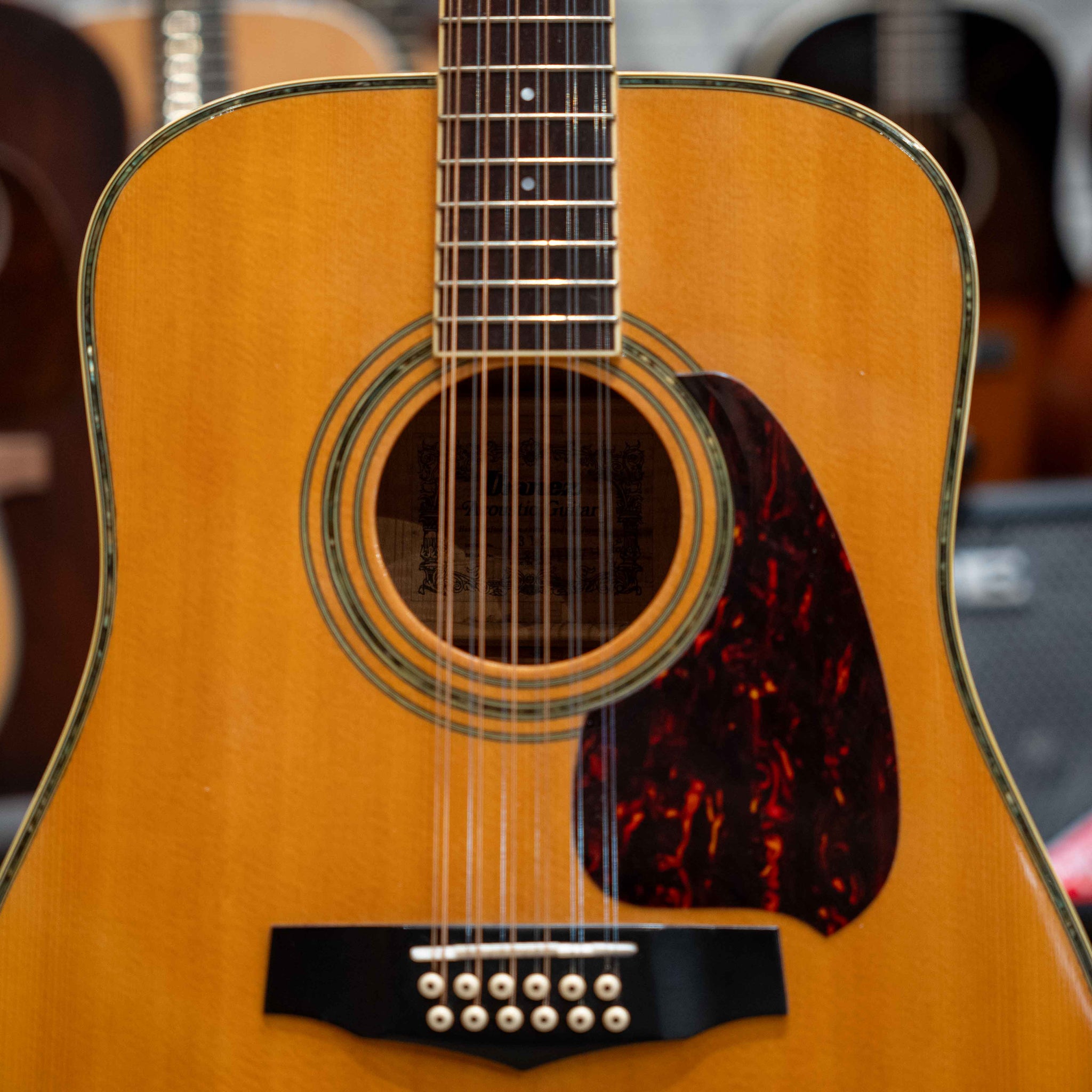 Ibanez M312 12 String (Pre-Owned)