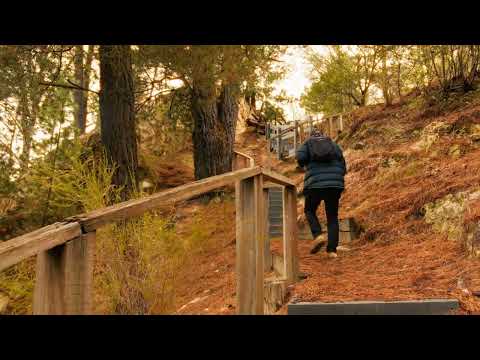 1010music Bento - Video