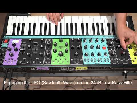 Moog Matriach video