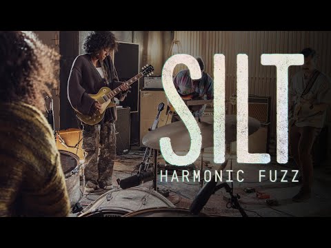 Walrus Audio Silt Black (Video)