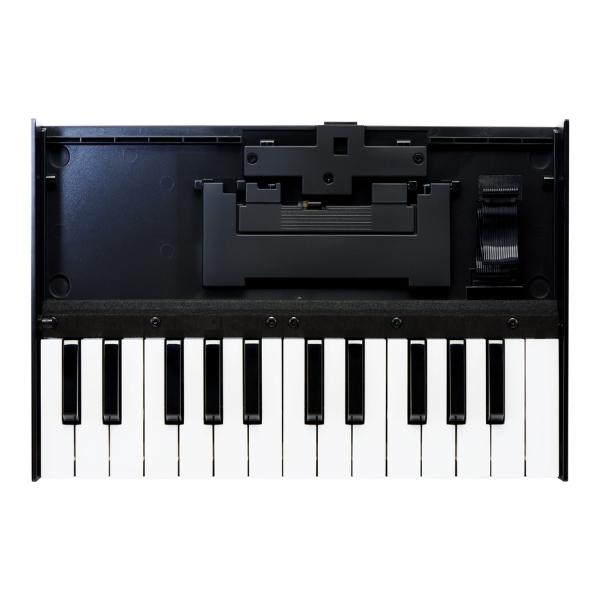 Roland K-25m