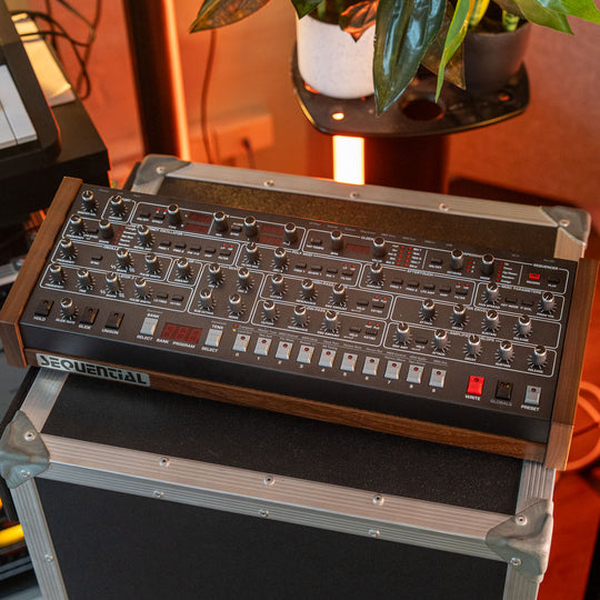 Sequential Prophet 6 Desktop (B-Stock)