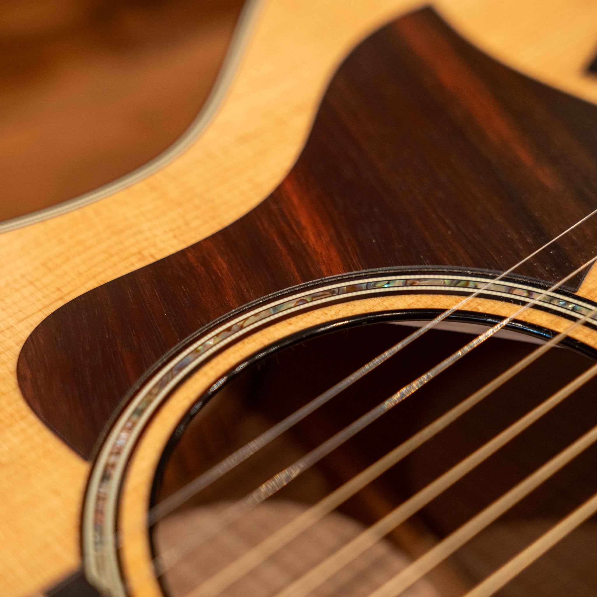 Taylor 614ce (Pre-Owned)