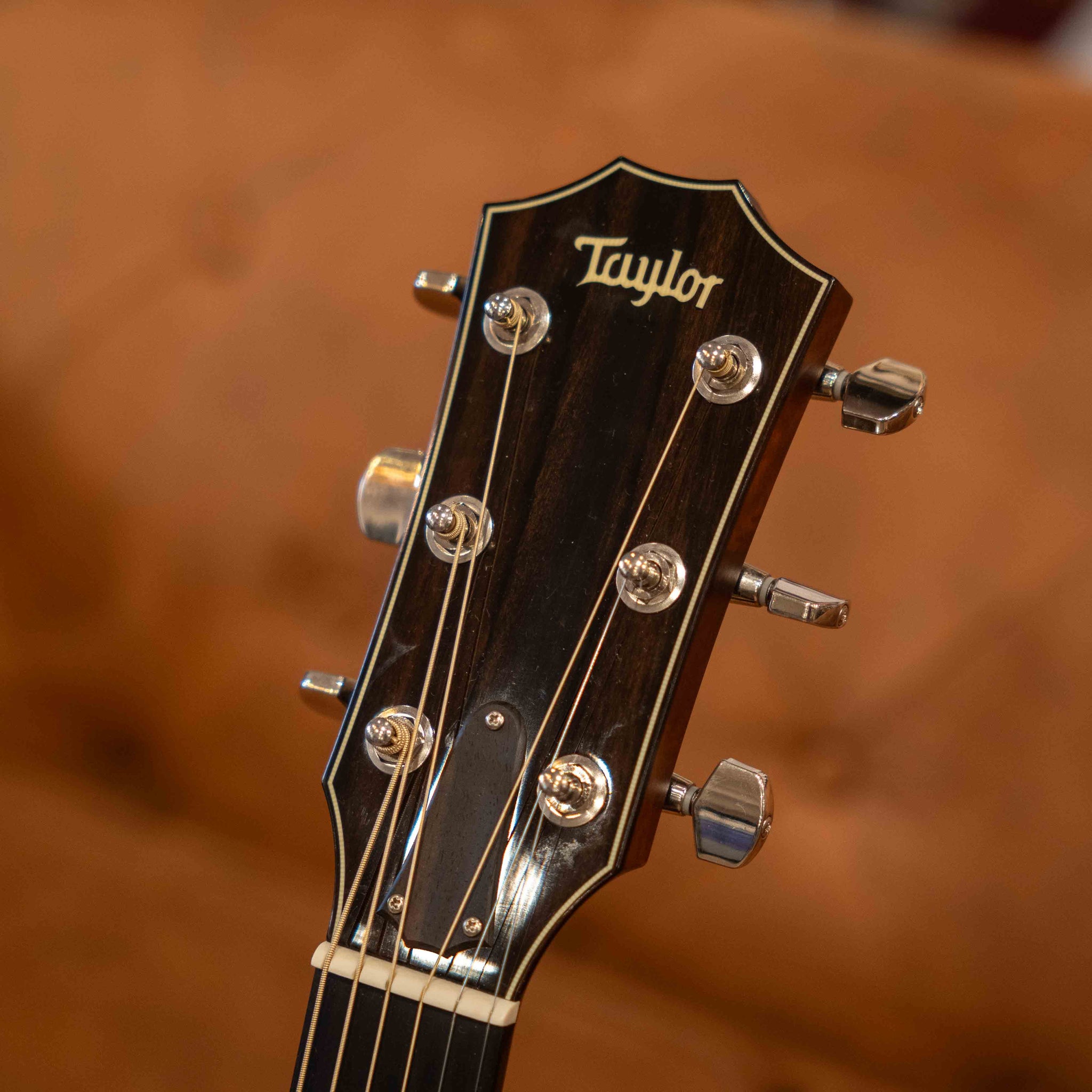 Taylor 614ce (Pre-Owned)