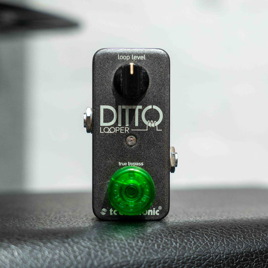 TC Electronic Ditto (Pre-Owned)