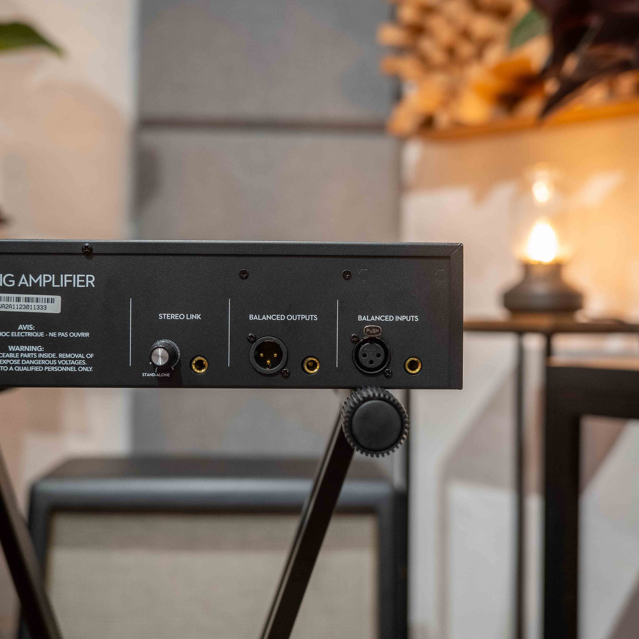 Warm Audio WA-2A (Ex-Demo)