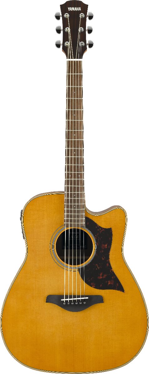Yamaha A1M