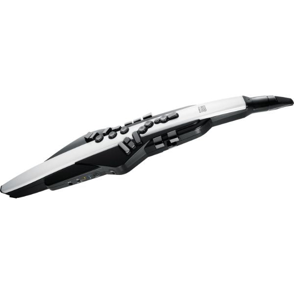 Roland Aerophone AE-20