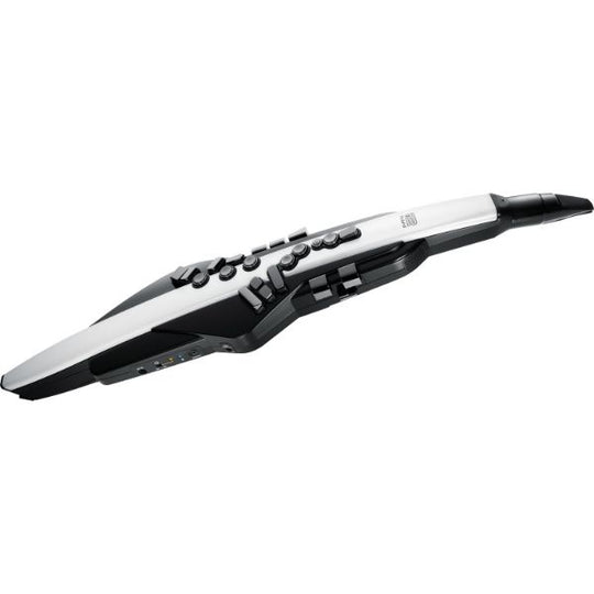 Roland Aerophone AE-20