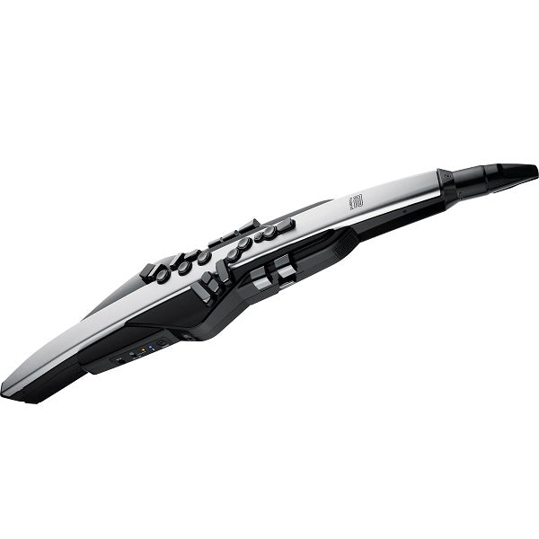 Roland Aerophone Pro AE-30