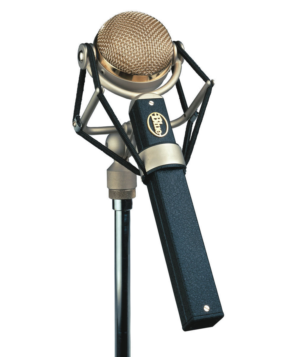Blue Microphones Dragonfly