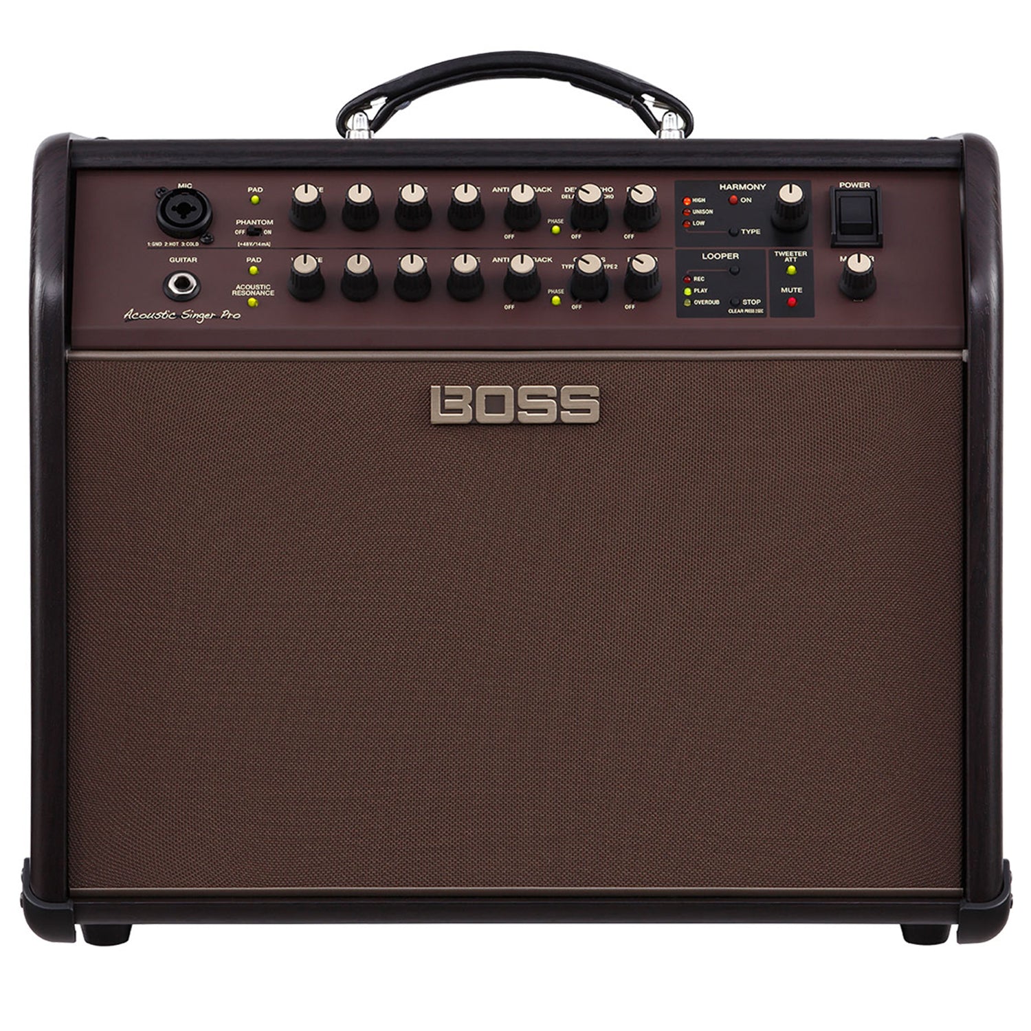 Boss Acoustic Singer Pro