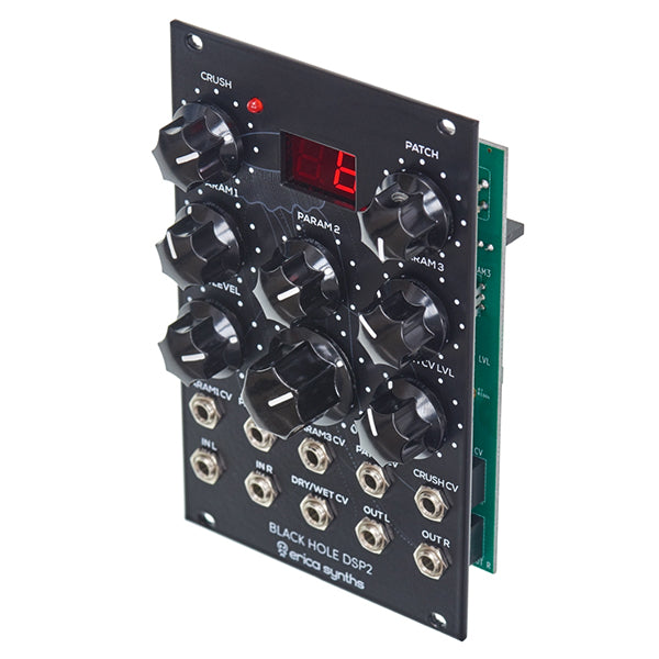 Erica Synths Black Hole DSP 2 | Turramurra Music