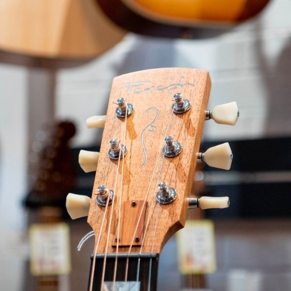 Fenech VT Pro Grand Auditorium Cutaway Blackwood (Headstock)