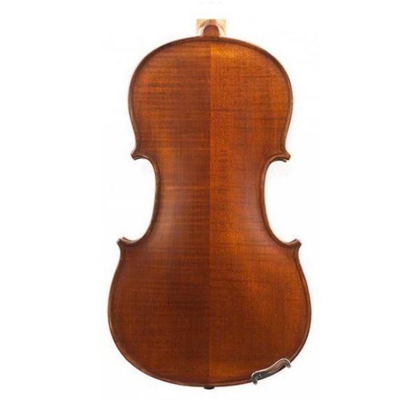 Gliga II Dark Antique 4/4 Violin Outfit
