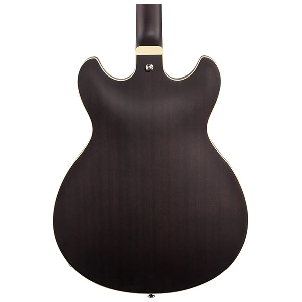 Ibanez AS53 TKF - Electric Guitar | Turramurra Music