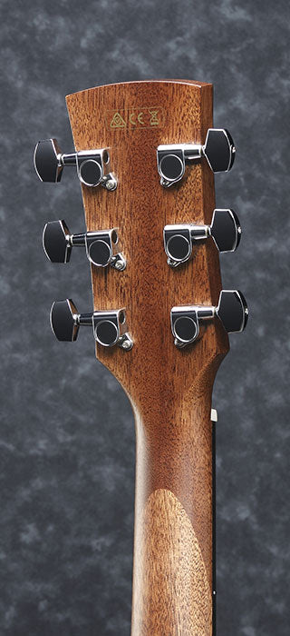 Ibanez AW54CE