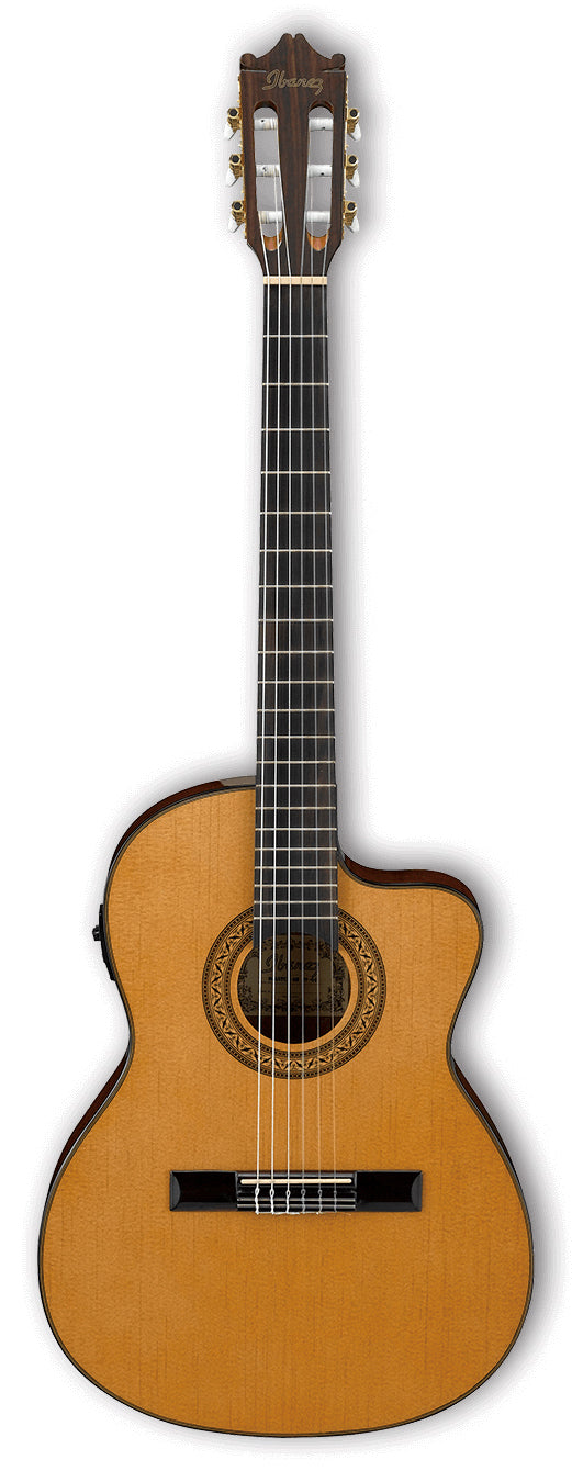 Ibanez GA5TCE