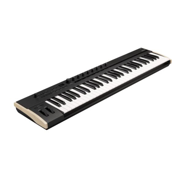 Korg Keystage 61 (Angle)