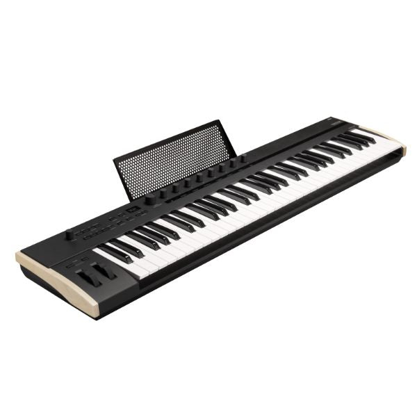 Korg Keystage 61 (Angle)