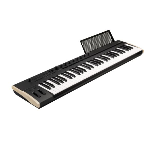 Korg Keystage 61 (Angle)