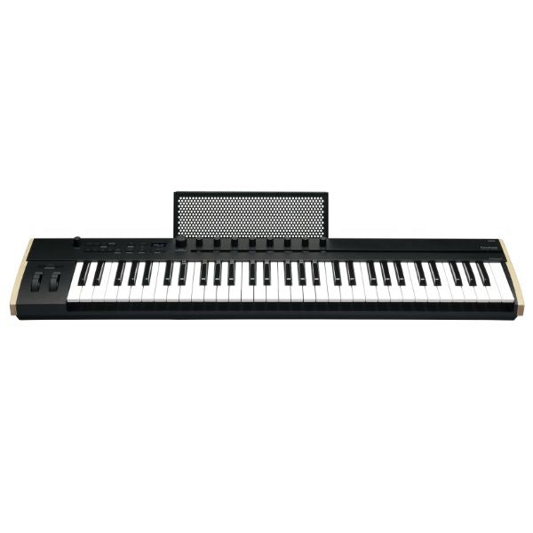 Korg Keystage 61 (Plate)