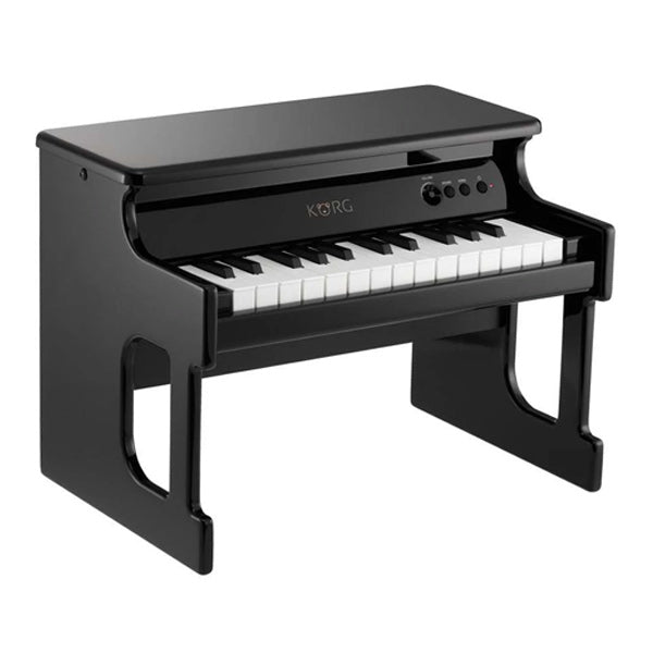 Korg Tiny Piano (Black) Angle