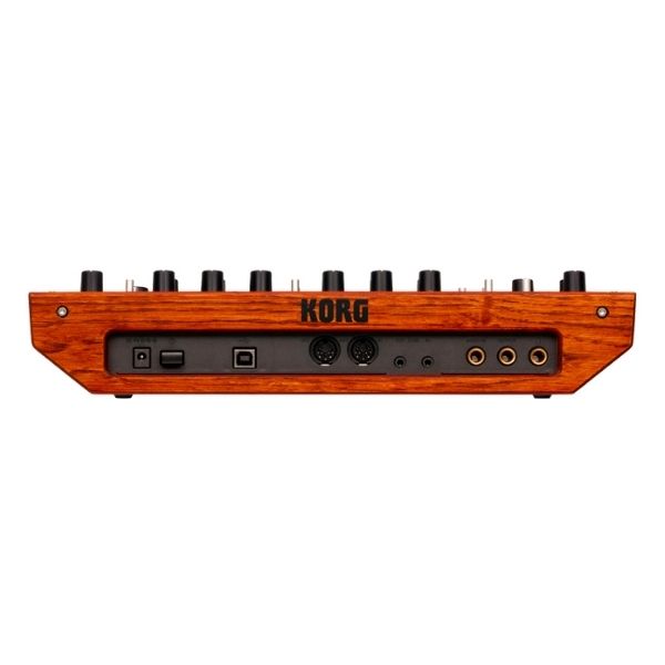 Korg Monologue Silver Rear Ports