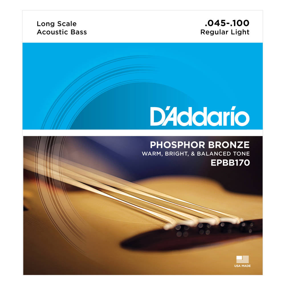 D'Addario EPBB170 Acoustic Bass