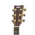 Yamaha LL16 ARE - Natural