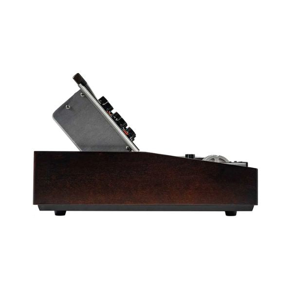 Moog Minimoog Model D