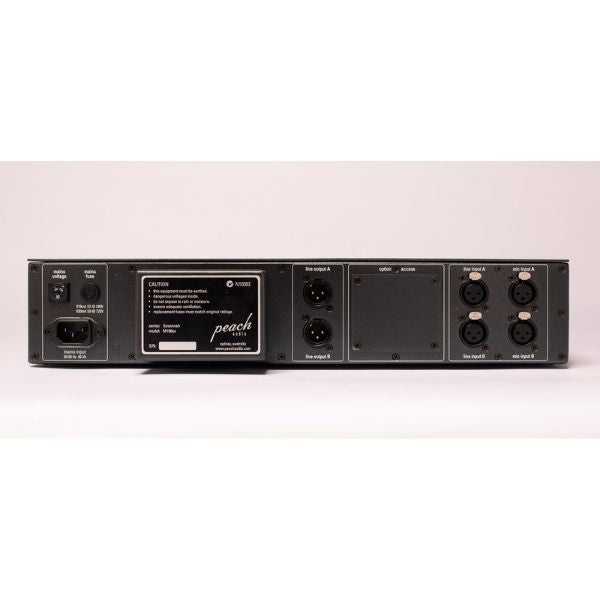 Peach Audio Savannah M196sx Rear Panel